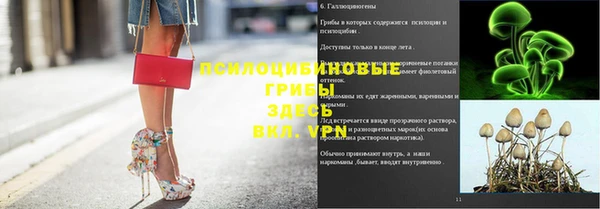 мяу мяу мука Балабаново