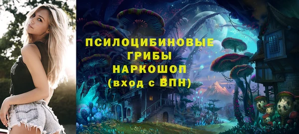 твердый Баксан