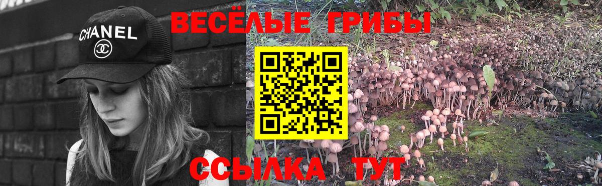 Псилоцибиновые грибы Psilocybe Добрянка