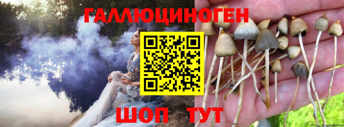 Добрянка  даркнет сайт  Вход с VPN  Галлюциногенные грибы MAGIC MUSHROOMS  Псилоцибиновые грибы прущие грибы 